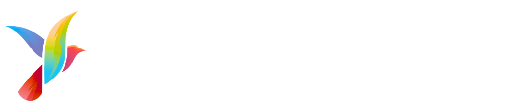 Team analyzing digital marketing data